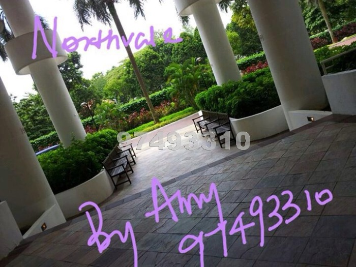 Northvale (D23), Apartment #367102
